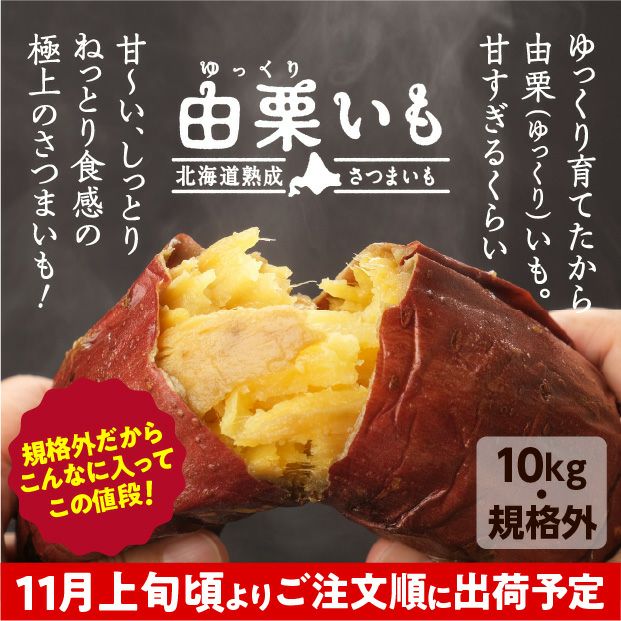 訳あり由栗（ゆっくり）いも 10㎏（サイズ混）