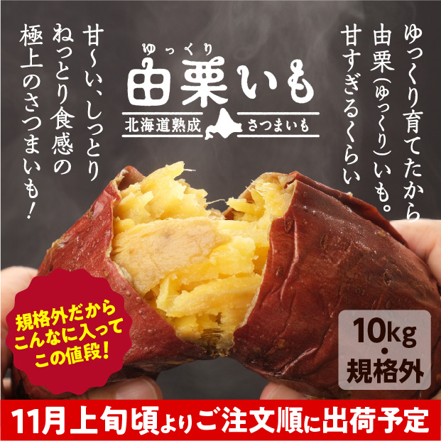 訳あり由栗（ゆっくり）いも 10㎏（サイズ混）