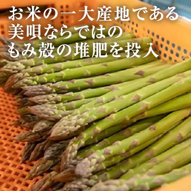 びばい産　ハウス栽培グリーンアスパラ　2L