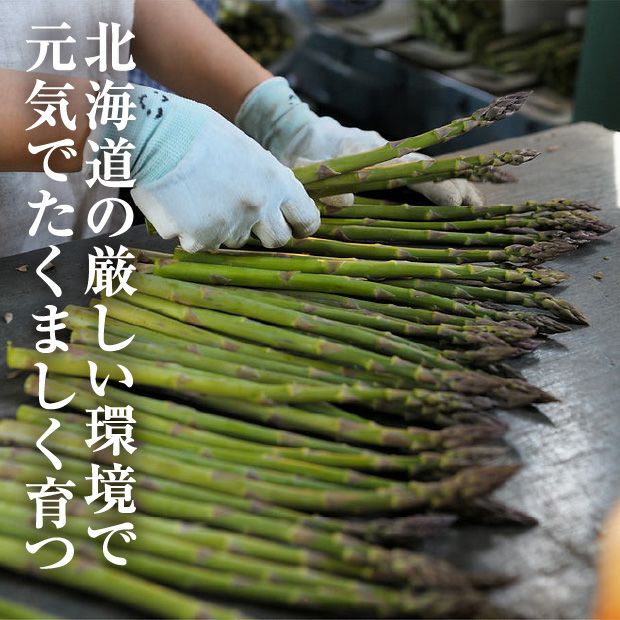 びばい産　ハウス栽培グリーンアスパラ　2L
