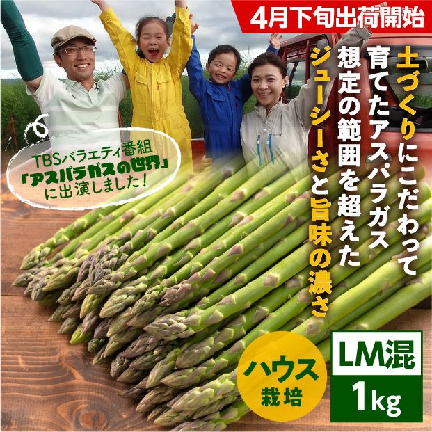 びばい産　ハウス栽培グリーンアスパラ　LM混　1㎏