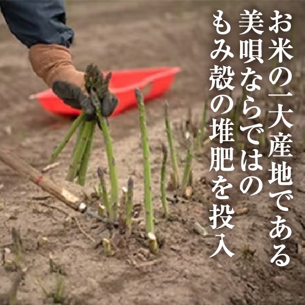 びばい産　露地栽培グリーンアスパラ　LM混　1㎏