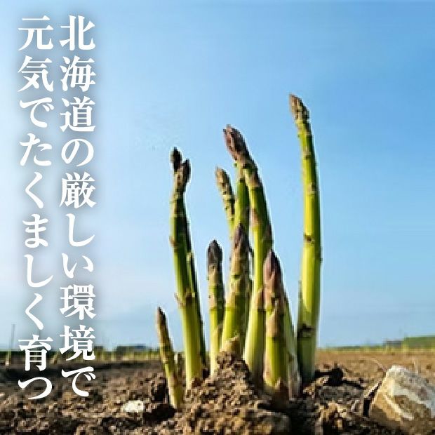 びばい産　露地栽培グリーンアスパラ　LM混　1㎏