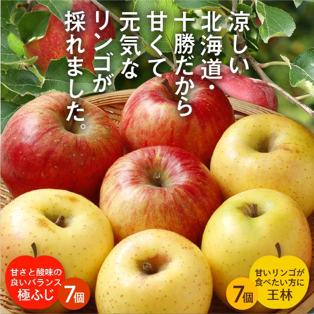 北海道十勝産りんご 極ふじと王林 各7個セット｜農産｜リンゴ｜食べ