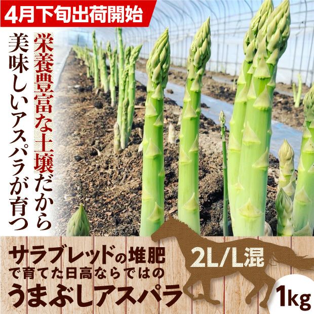 うまぶしアスパラ　2L/L混　1㎏