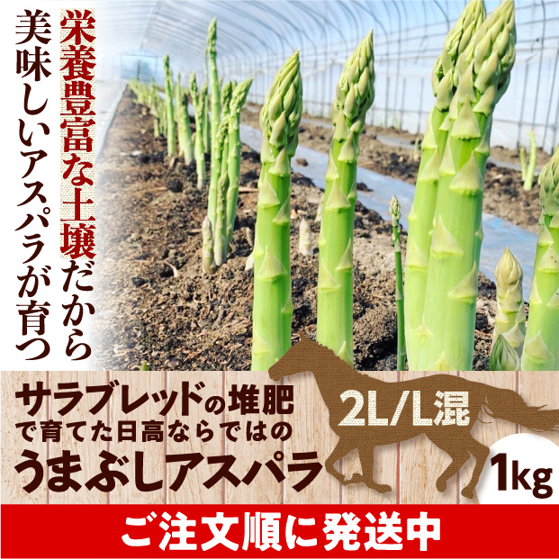 うまぶしアスパラ　2L/L混　1㎏