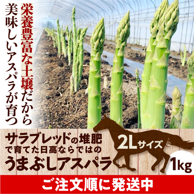 うまぶしアスパラ　2L　1㎏