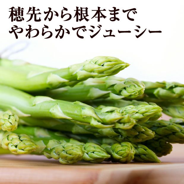 うまぶしアスパラ　2L　1㎏