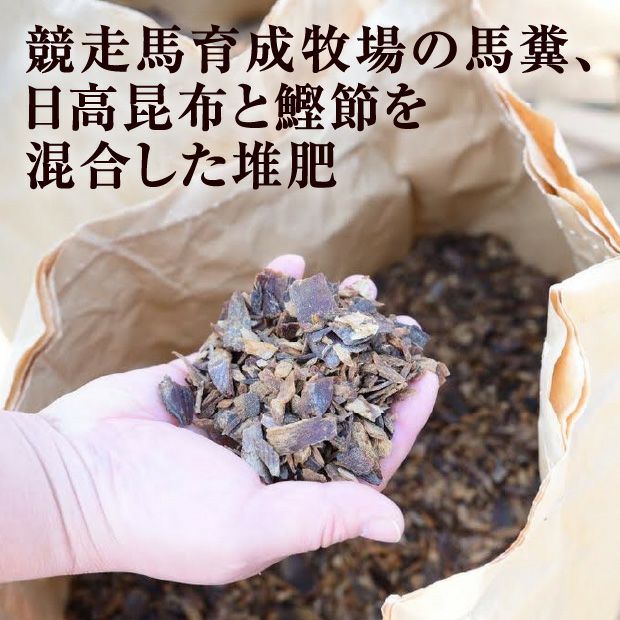 うまぶしアスパラ　2L　1㎏