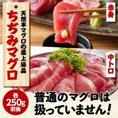 天然本まぐろ　赤身・中トロセット　500ｇ