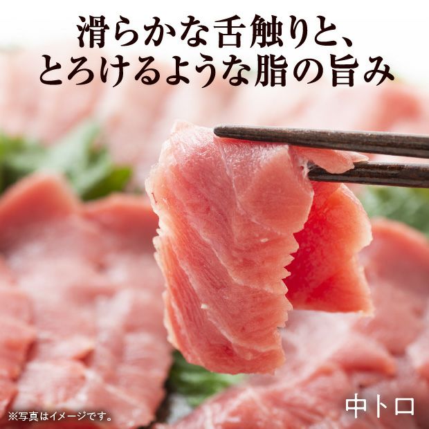 天然本まぐろ　赤身・中トロセット