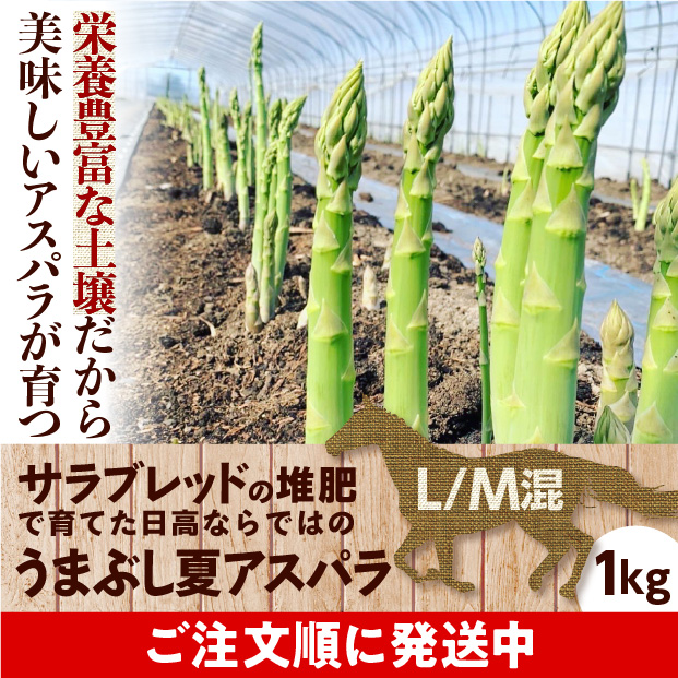うまぶし夏アスパラ　L/M混　1㎏