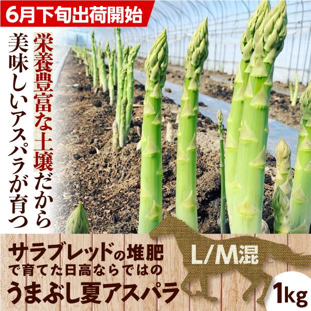 うまぶし夏アスパラ　L/M混　1㎏
