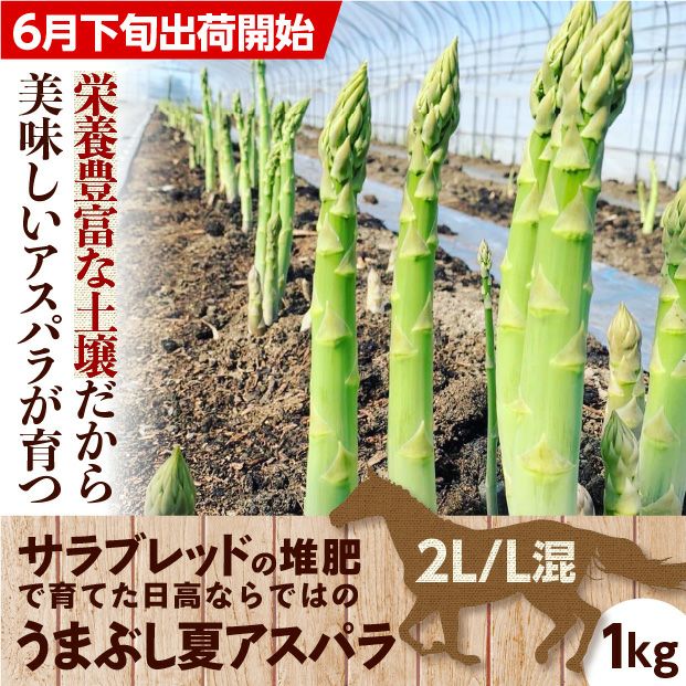 うまぶし夏アスパラ　2L/L混　1㎏