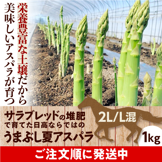 うまぶし夏アスパラ　2L/L混　1㎏