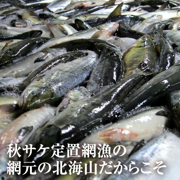 鮭とば