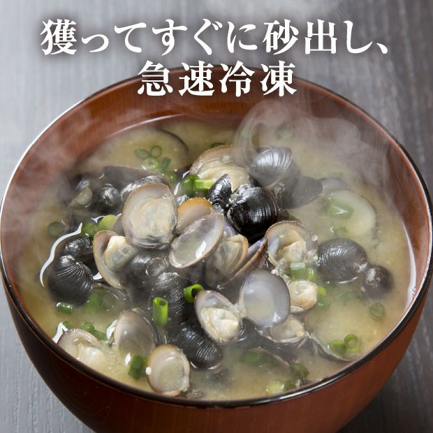 長節湖で取れたシジミ(2Lサイズ)