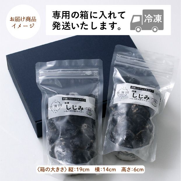 長節湖で取れたシジミ(2Lサイズ)