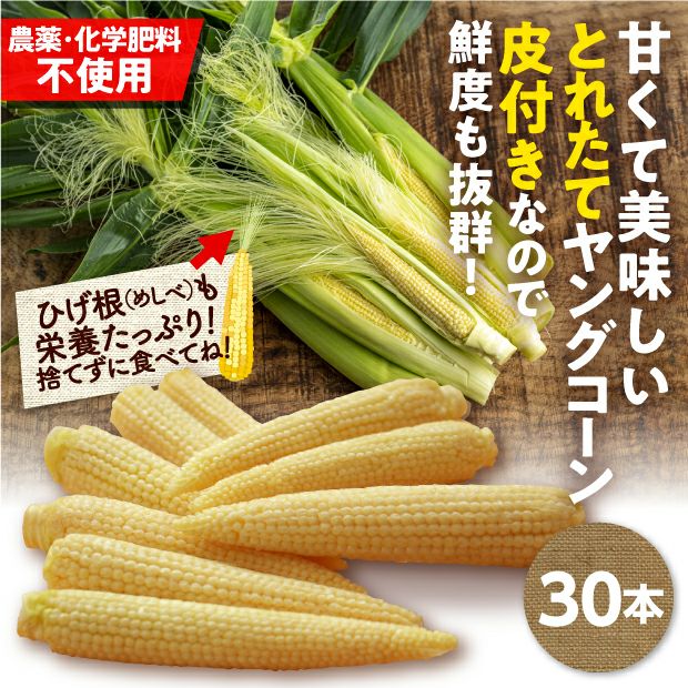 皮付きヤングコーン