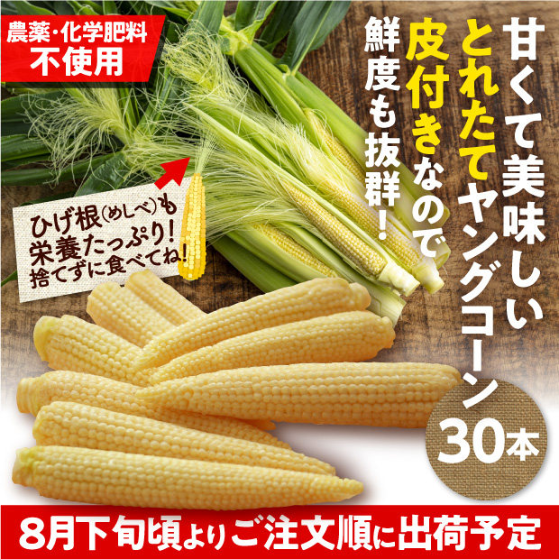 皮付きヤングコーン