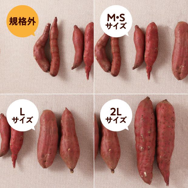 【特別価格】訳あり　由栗（ゆっくり）いも