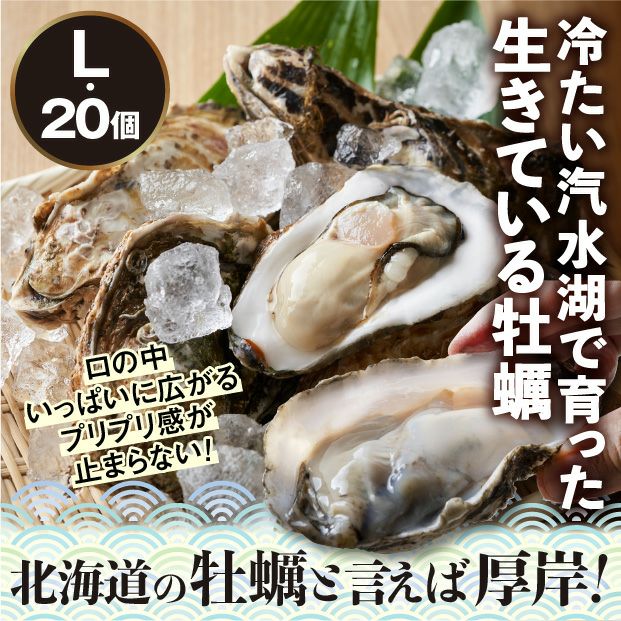 厚岸産　殻付き生牡蠣