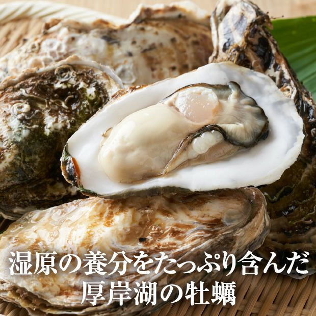 厚岸産　殻付き生牡蠣