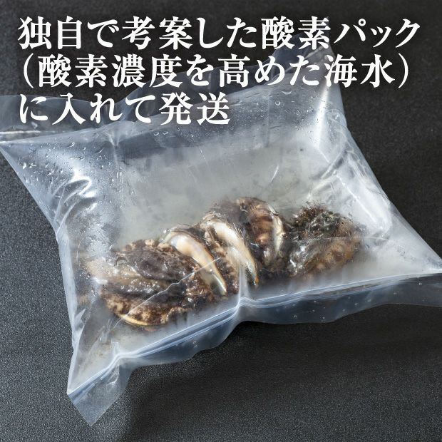 活あわび（酸素パック）