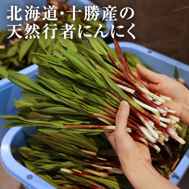 天然行者にんにくしょうゆ漬け２Ｐ