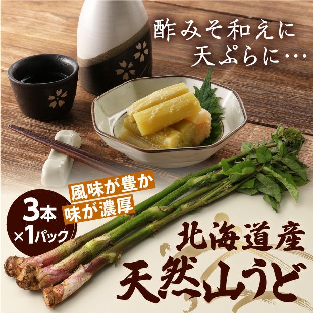天然山うど3本×1パック