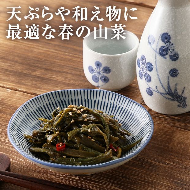 天然山うど3本×2パック