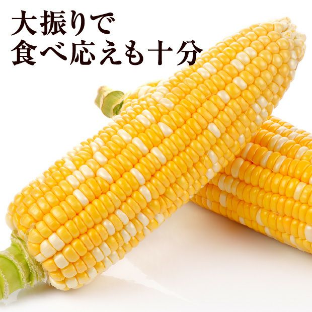 富良野産ゆめのコーンビッグ