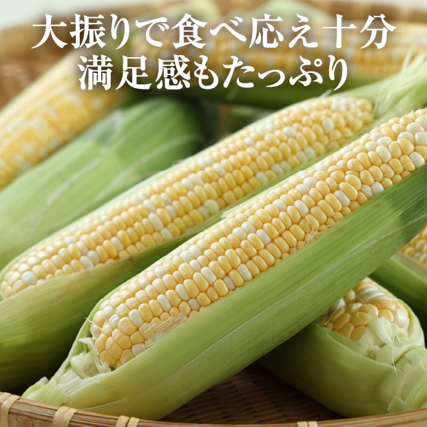 富良野産ゆめのコーンビッグ