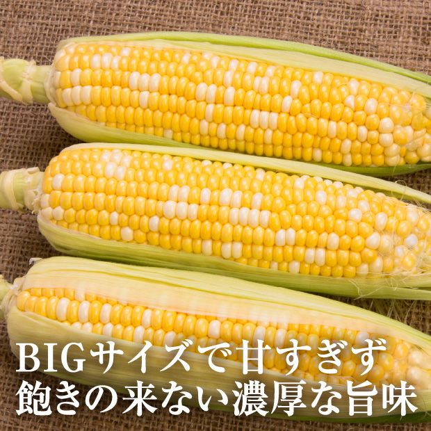 富良野産ゆめのコーンビッグ
