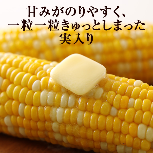 富良野産ゆめのコーンビッグ