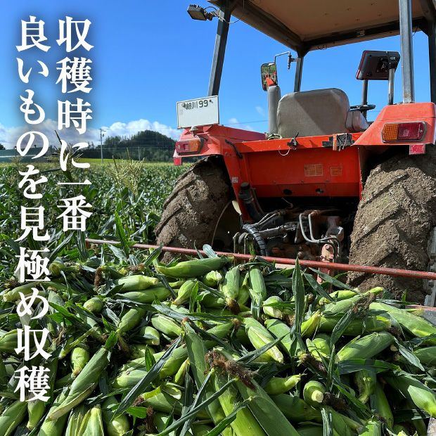 富良野産ゆめのコーンビッグ