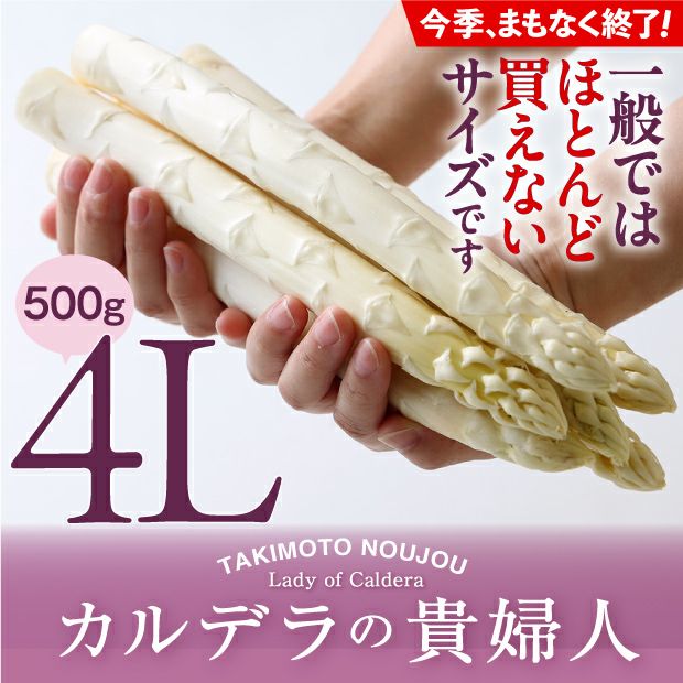 ホワイトアスパラ4L 500g