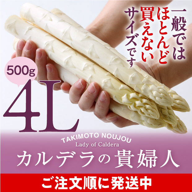 ホワイトアスパラ4L 500g