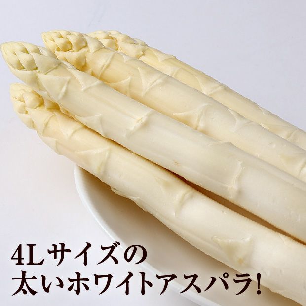 ホワイトアスパラ4L 500g