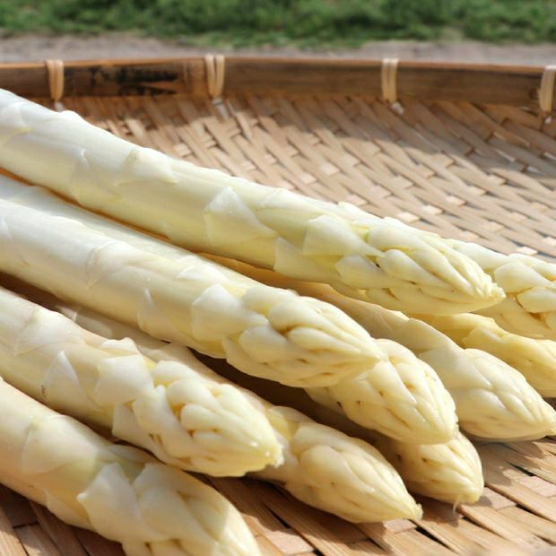 【特別価格】ホワイトアスパラ2L 1㎏
