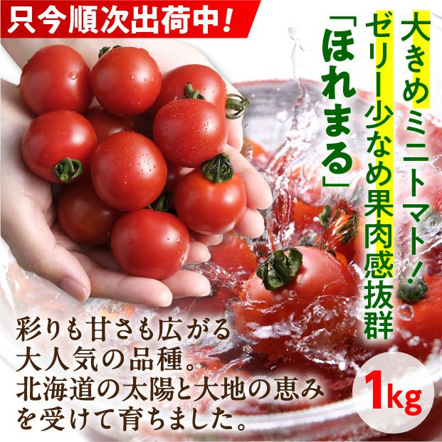 士別産　栽培ミニトマト（ほれまる）