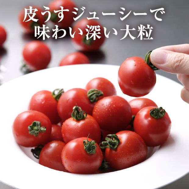 士別産　栽培ミニトマト（ほれまる）