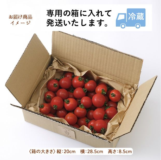 士別産　栽培ミニトマト（ほれまる）