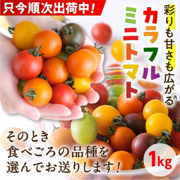 士別産　栽培ミニトマト（6種カラフルミックス）