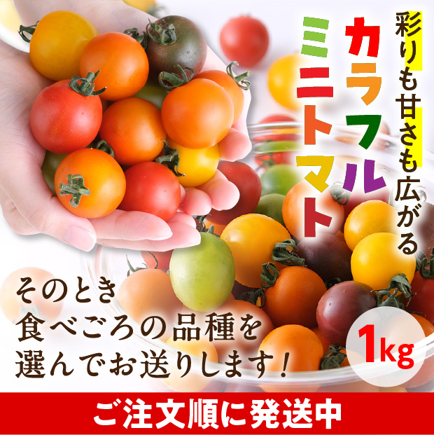 士別産　栽培ミニトマト（6種カラフルミックス）