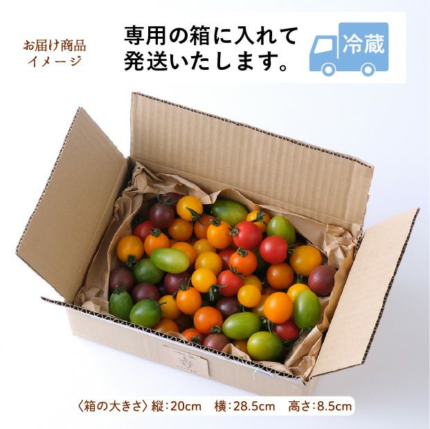 士別産　栽培ミニトマト（6種カラフルミックス）