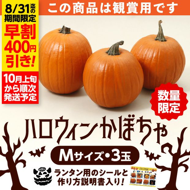 ハロウィンかぼちゃ