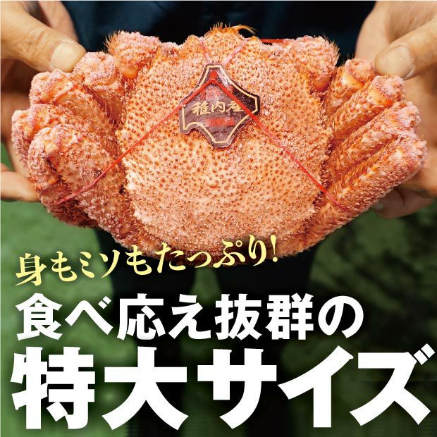 稚内産 毛ガニ（760g～900g）