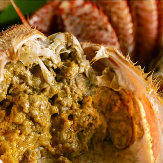 稚内産 毛ガニ（760g～900g）