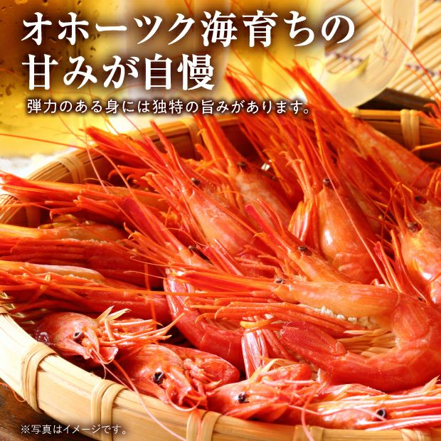 別海産 北海しまえび Mサイズ 500g
